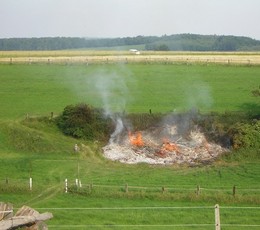 2010-07-02 Feueralarm: Flchenbrand