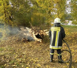 2016-10-23 Feueralarm: Flchenbrand