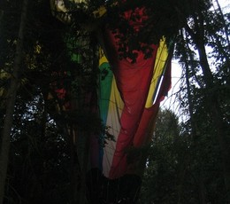 2010-07-04 Hilfeleistung: Abgestürzter Heißluftballon