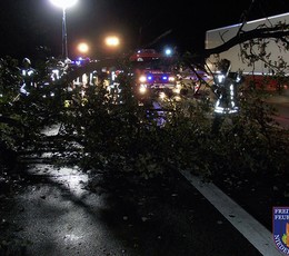 2014-10-21 Hilfeleistung: Umgestürzter Baum auf der BAB3
